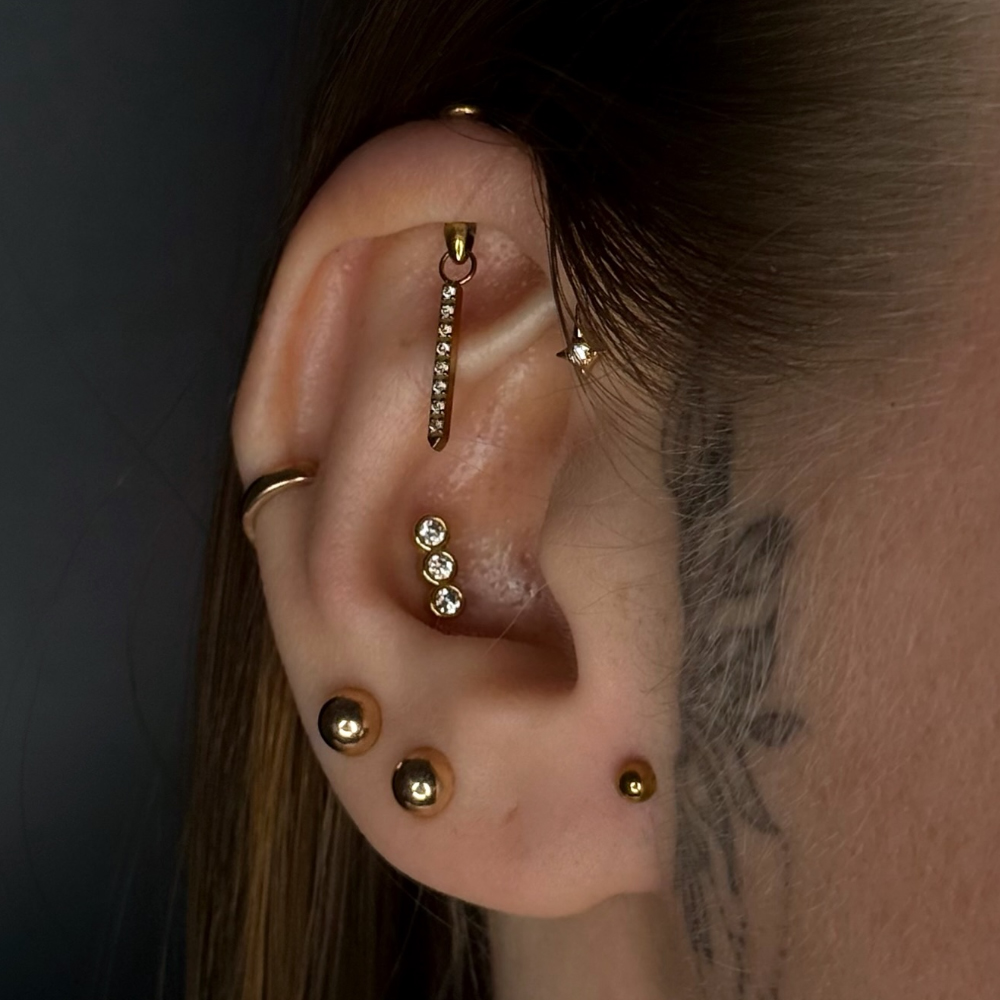 1 szt. G23 Tytanowy Ukryty Pio – Rook Curved Barbell recenzja i cena