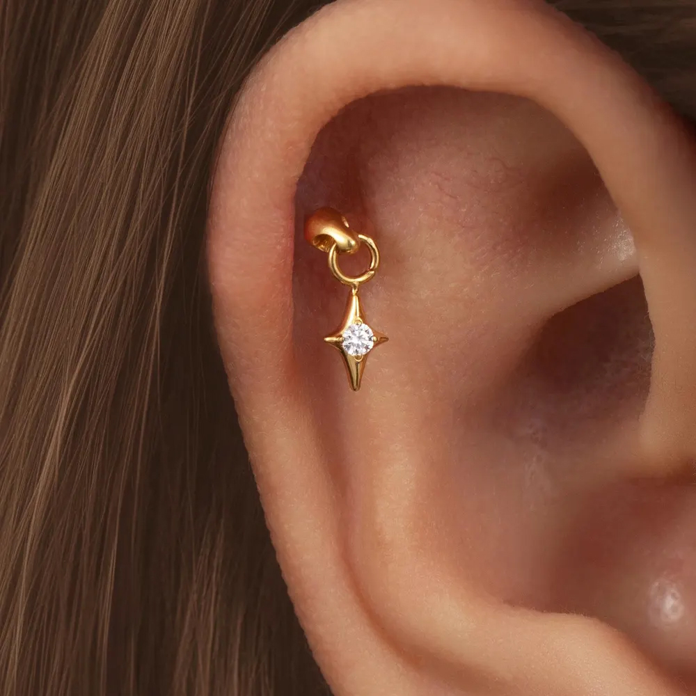 1 szt. G23 Tytanowy Ukryty Pio – Rook Curved Barbell recenzja i cena